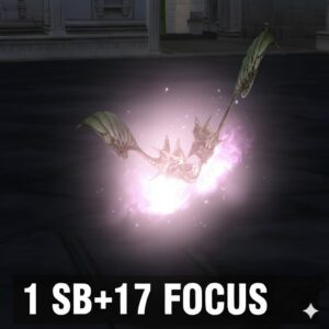 1 sb+17 focus
